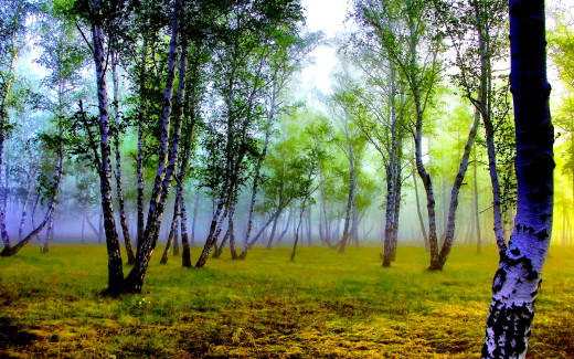 682876 (a): :1920x1200